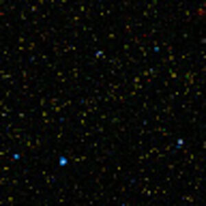 Meet your Posher, Mckenzie